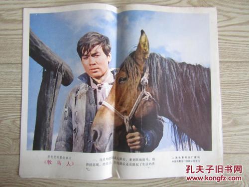 做个假的康涅狄格州驾照